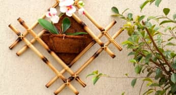 Nghệ thuật trang trí giỏ lan treo tường đầy sáng tạo