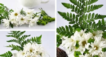 Bật mí Cách Cắm Hoa Cúc tuyệt đẹp sáng bừng căn bếp nhỏ