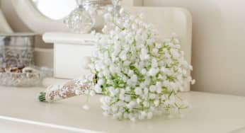 Hoa baby (Baby’s breath) – Gypsophila paniculata