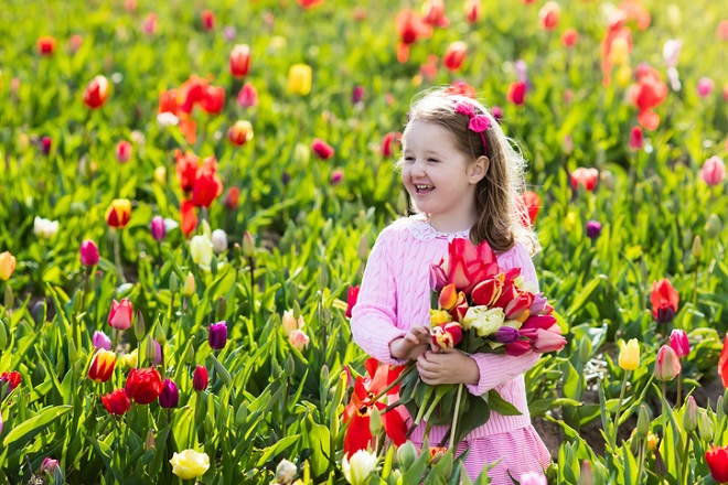 Sự tích hoa tulip mọc lên từ cô gái chạy trốn bất thành