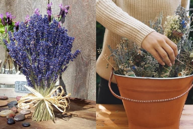 Bỏ túi bí kíp cắm hoa Lavender đẹp chuẩn Pháp