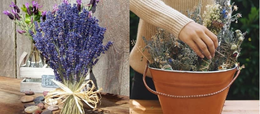 Bỏ túi bí kíp cắm hoa Lavender đẹp chuẩn Pháp