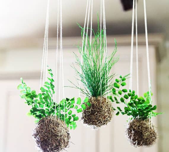 Hoa treo Kokedama phong cách Nhật Bản đẹp hút mắt