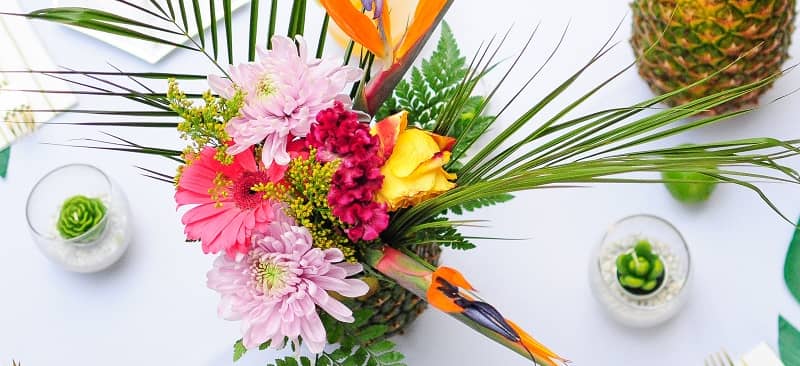 5 cách cắm hoa Thiên điểu thổi hồn cho bình hoa đẹp kiêu sa