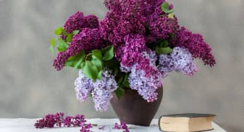 Tiết lộ công thức Cắm hoa theo hình dáng lọ đẹp lộng lẫy