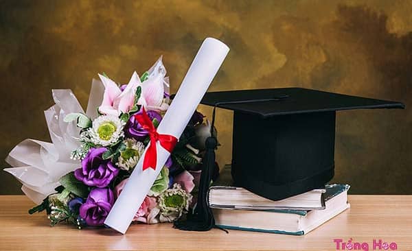 Bật mí 7 loại hoa tặng ngày lễ tốt nghiệp vừa đẹp lại ý nghĩa