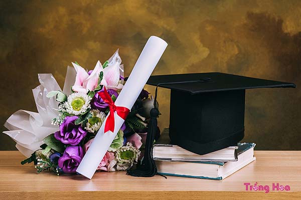 Bật mí 7 loại hoa tặng ngày lễ tốt nghiệp vừa đẹp lại ý nghĩa
