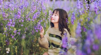 Thưởng thức những bài thơ hay về hoa violet