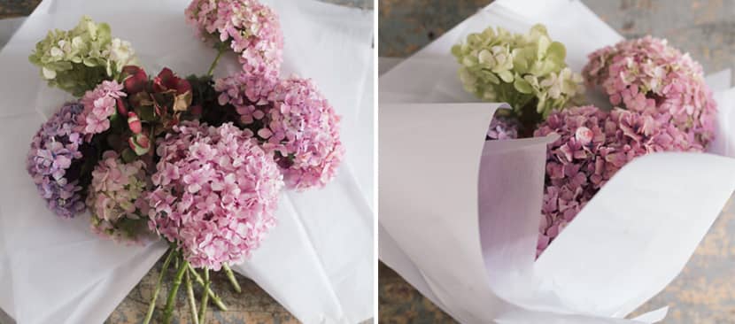 cách bó hoa cẩm tú cầu với giấy trắng