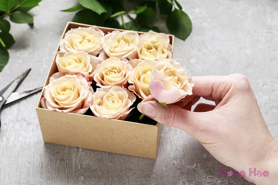 Cách làm hộp quà hoa hồng tươi