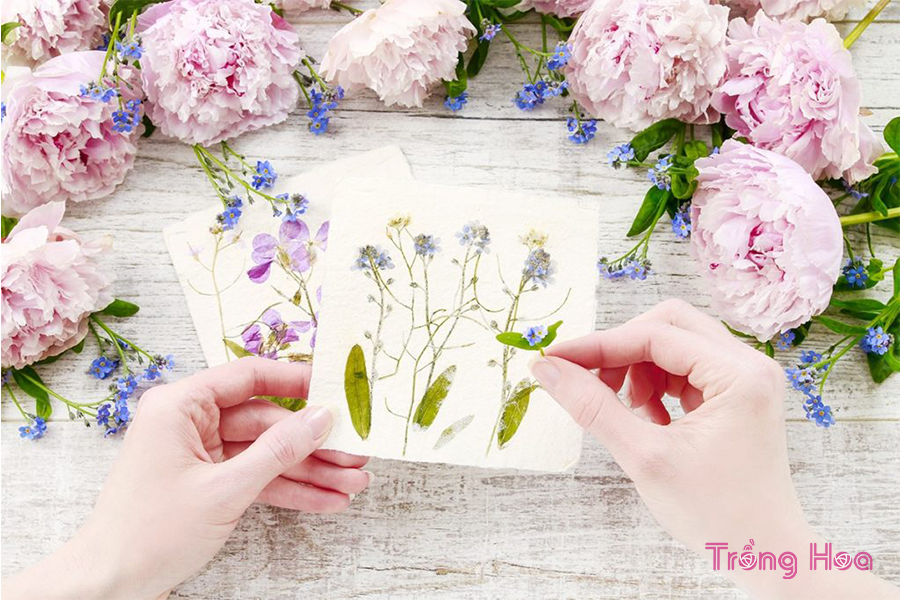 4 Cách tự làm hoa ép