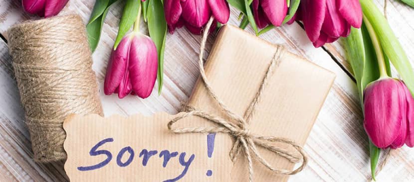 5 loại hoa mang thông điệp thay cho lời xin lỗi