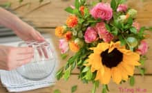 cắm hoa trong lọ thủy tinh tròn có băng dính